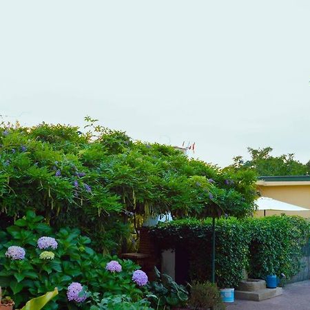 A Tintureira Villa Sao Martinho de Antas Bagian luar foto