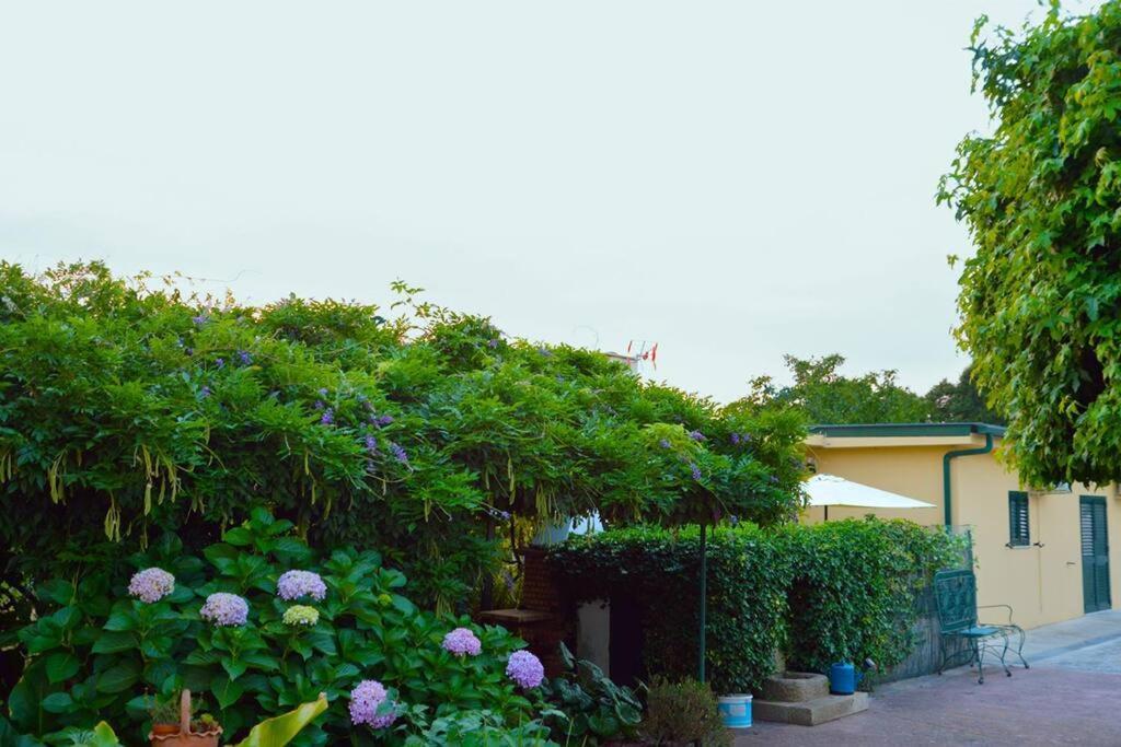 A Tintureira Villa Sao Martinho de Antas Bagian luar foto