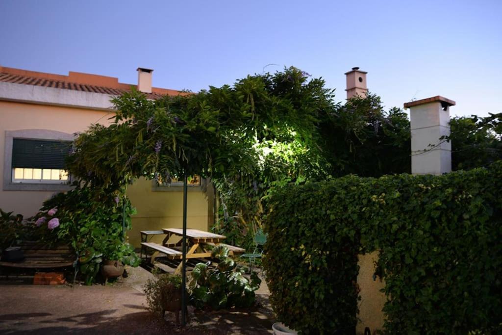 A Tintureira Villa Sao Martinho de Antas Bagian luar foto