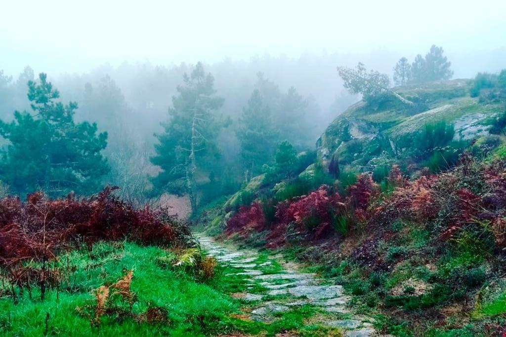 A Tintureira Villa Sao Martinho de Antas Bagian luar foto