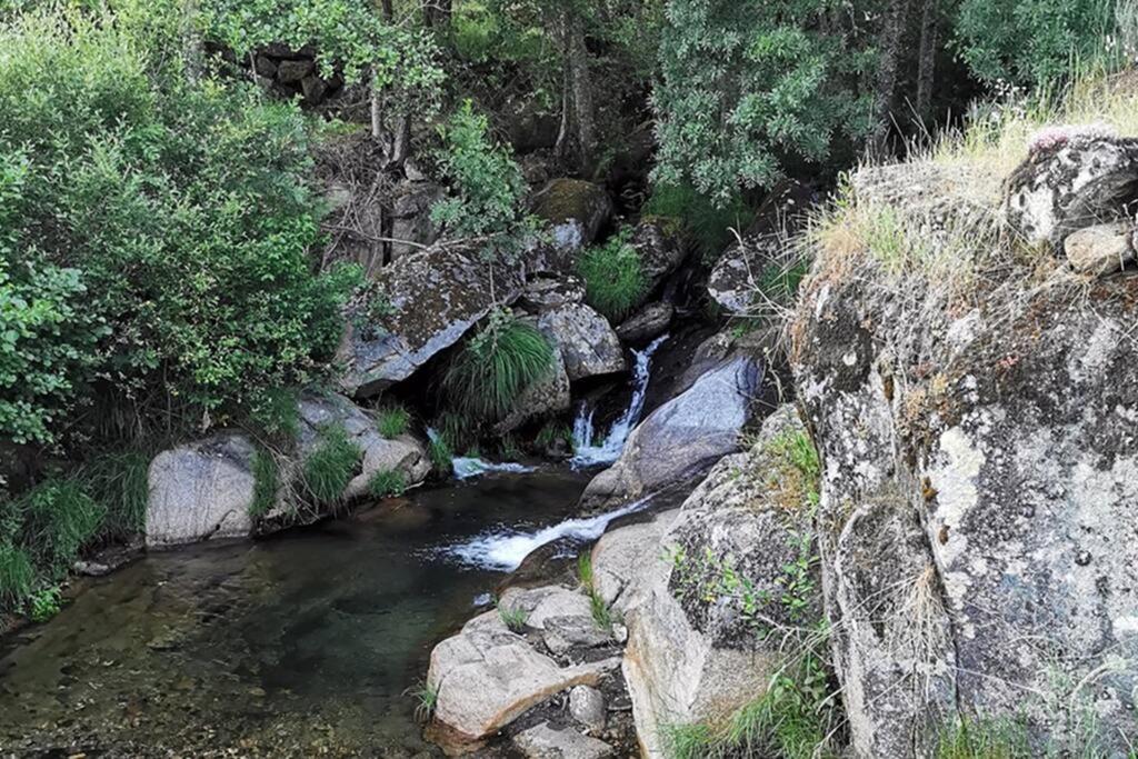 A Tintureira Villa Sao Martinho de Antas Bagian luar foto